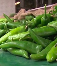 Green chile season is here but it hasn't been an easy harvesting season due to the drought and monsoon rain.
Mandatory Credit:	KOAT