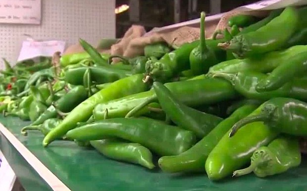 Green chile season is here but it hasn't been an easy harvesting season due to the drought and monsoon rain.
Mandatory Credit:	KOAT