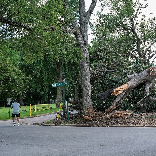 This fallen monster of a tree in Byrd Park exemplifies the damage that has resulted from repeated heavy rains in recent weeks. Location: Boat Lake and Westover Drive. The photo was taken Aug. 19, but it is unknown when the tree fell. Richmond was spared substantial impact from the remnants of Hurricane Fred, which largely bypassed Central Virginia as it moved North. So far during August, the Richmond area has recorded 8.22 inches of rain – or the equivalent of 80 inches of snow. The total rainfall is about 5 inches more than the 10-year rainfall norm for August. The rain spigot was turned off in much of Metro Richmond this week as hot, humid days returned. The forecast indicates that isolated thunderstorms may roll through again on Saturday and Sunday.