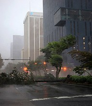 Trees sway in the wind from Hurricane Ida in downtown New Orleans Sunday.
Mandatory Credit:	Luke Sharrett/Bloomberg/Getty Images