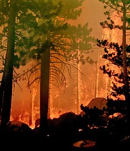 The Caldor Fire burns on both sides of the US-50 11 miles from the Meyers neighborhood in South Lake Tahoe.
Mandatory Credit:	Andy Barron/RGJ/USA Today Network