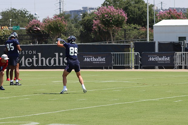 Texans WR Danny Amendola