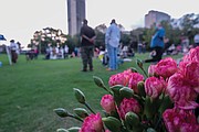 Roses adorn the African Burial Ground in Shockoe Bottom where the enslaved man Gabriel was hanged Oct. 10, 1800, for plotting an rebellion against his enslavers.