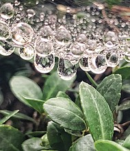 Raindrops in North Side