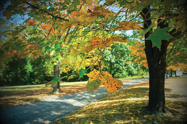 Autumn in Forest Hill Park