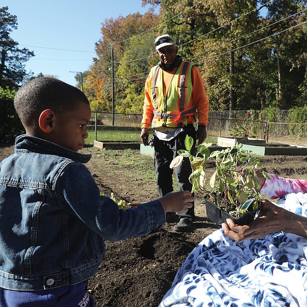 Kingston Henderson, 4, gets a lesson in gardening from his great- grandmother, Pauline Wheeler, 99, and his grandfather, Harris Wheeler, 70, a retired horticulture teacher with Richmond Public Schools. She shows Kingston the tender young collards and instructs him how to plant them in the rich soil tilled by his grandfather. Collards, turnip greens and onions are Mrs. Wheeler’s favorite things to grow in the winter garden behind her North Side home.