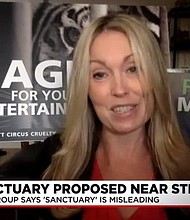 Carrie LeBlanc, executive director for CompassionWorks International, talks about the proposed tiger sanctuary in Las Vegas. She called the use of the word "sanctuary" misleading because the tigers would be in a small area.
Mandatory Credit:	KVVU
