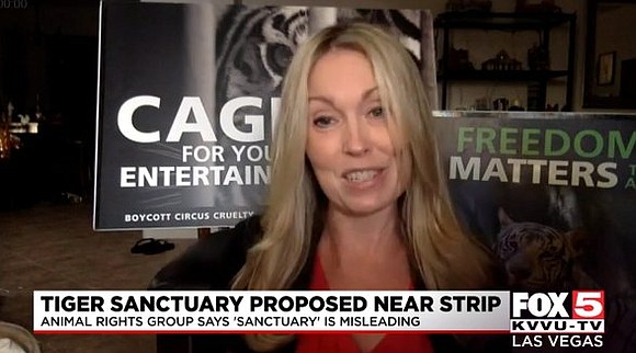 A request to build a tiger sanctuary near the Strip will be brought to the table this week, but an …