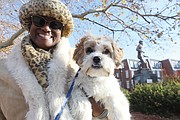 Monica Davis Williams of Chesterfield carries her 8-month-old Shih Tzu-Yorkie mix, Seymoure, as she watches for her mother, Mary Carr Davis, a member of the Maggie Walker Class of 1967 and former co- captain of the cheerleading squad, who was participating in the parade.