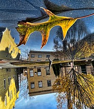 Autumn reflection in West End
