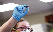 Kate Ridgway, lead conservator with the state Department of Historic Resources, holds up a Minié ball, a type of bullet used during the Civil War. Ammunition, Confederate money and other artifacts were found in the copper time capsule placed in the Lee statue pedestal in 1887.