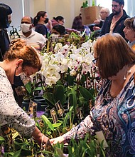Many people attended the free lectures from expert growers at the show, presented by the Virginia Orchid Society and sponsored by the botanical garden in Lakeside. This year’s theme: “In Love with Orchids and Gardens.”