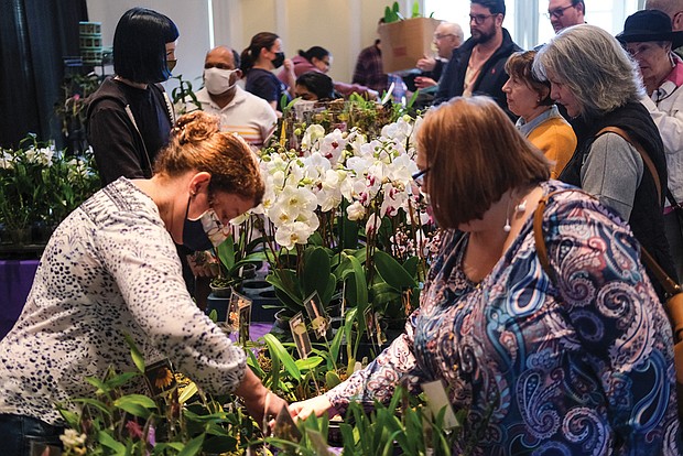 Many people attended the free lectures from expert growers at the show, presented by the Virginia Orchid Society and sponsored by the botanical garden in Lakeside. This year’s theme: “In Love with Orchids and Gardens.”