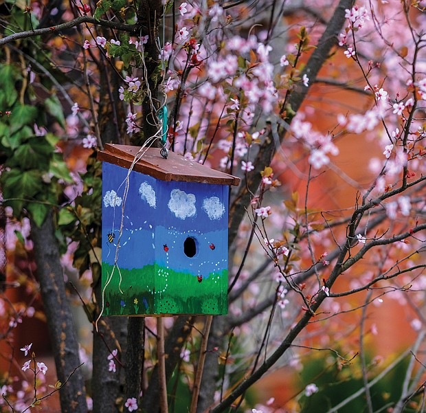 Birdhouse and blossoms Downtown