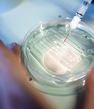 A researcher performs a CRISPR-Cas-9 process at the Max-Delbrueck-Centre for Molecular Medicine in Berlin.
Mandatory Credit:	Gregor Fischer/picture alliance/Getty Images