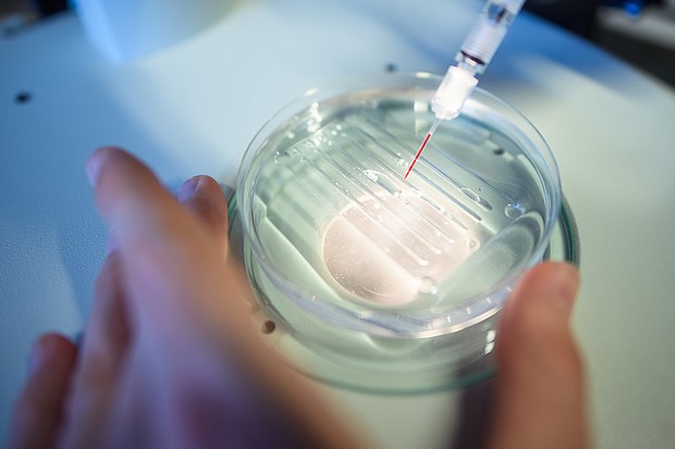 A researcher performs a CRISPR-Cas-9 process at the Max-Delbrueck-Centre for Molecular Medicine in Berlin.
Mandatory Credit:	Gregor Fischer/picture alliance/Getty Images
