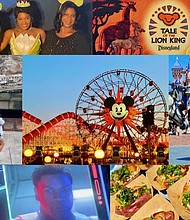 Disneylnd Collage by Dwight Brown