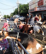 The Robinson Theater Community Arts Center’s Community Block Party in Church Hill on June 10 offered fitness, dance, theater, creative writing and more for youths and adults. The free party included yummy ice cream treats, pet goats and rabbits that delighted 9-year-old Jaiden Loney.