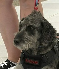 A Linwood non-profit is making it their mission to help prevent veteran suicides.
Mandatory Credit:	WNEM