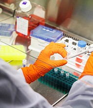 The Biden Administration is expected to detail plans to roll out more monkeypox vaccines across the U.S. and pictured, an employee of the vaccine company Bavarian Nordic works in a laboratory of the company in Martinsried near Munich, Germany, May 24.
Mandatory Credit:	Lukas Barth/Reuters/FILE