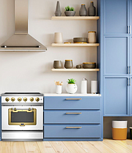 Big Chill 30” Classic Induction Stove in White with Brushed Brass trim