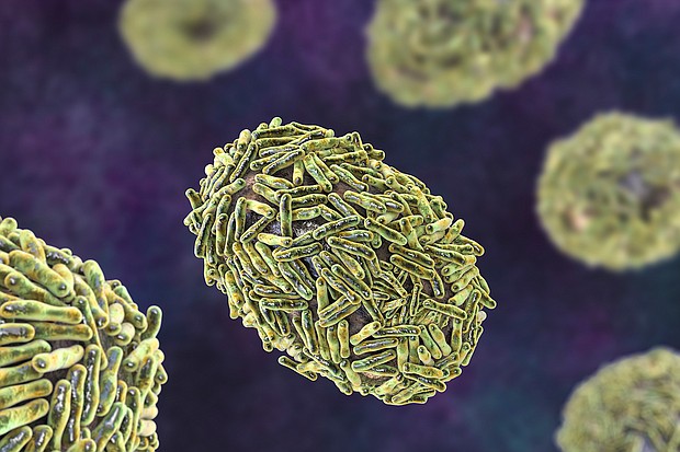 Monkeypox virus particles, illustration. Monkeypox virus is found near rainforests in Central and West Africa and causes disease in humans and monkeys, although its natural hosts are rodents.
Mandatory Credit:	Kateryna Kon/Science Photo Library/SCIPHO/AP