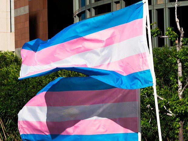 The Biden administration must pause its enforcement of federal guidance seeking to protect transgender students and workers in 20 states, a federal judge ruled and pictured, Trans pride flags on March 31, 2017 in Los Angeles, California.
Mandatory Credit:	ROBYN BECK/AFP/Getty Images