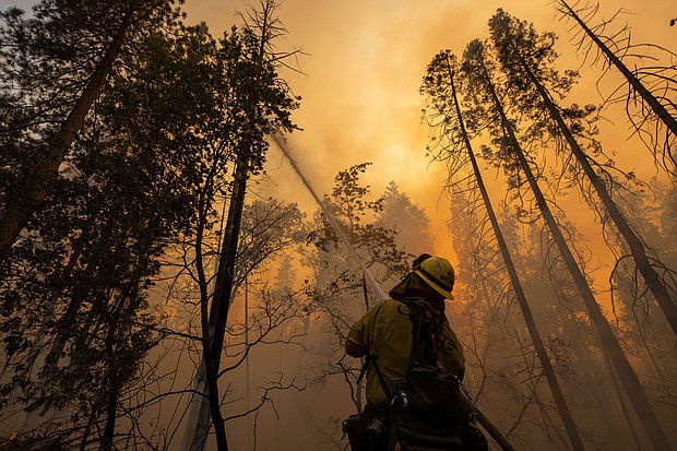 A firefighter cools a burning tree at the Oak Fire near Midpines, northeast of Mariposa, California, on July 23.
Mandatory Credit:	David Mcnew/AFP/Getty Images