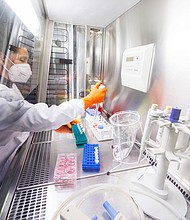An employee works on a vaccine based on the monkeypox vaccine that has already been developed by the vaccine company Bavarian Nordic at a laboratory of the company in Martinsried near Munich, Germany, May 24, 2022.
Mandatory Credit:	Lukas Barth/Reuters