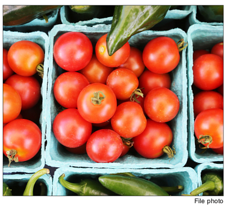 A new farmers’ market has opened on the grounds of Richmond Community High School, but City Hall’s removal of electricity …