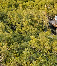 The Jubail Mangrove Park is an unexpected green escape from the deserts of Abu Dhabi.
Mandatory Credit:	Barry Neild/CNN