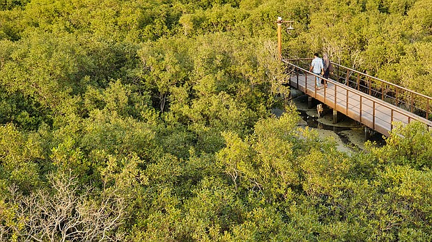 The Jubail Mangrove Park is an unexpected green escape from the deserts of Abu Dhabi.
Mandatory Credit:	Barry Neild/CNN