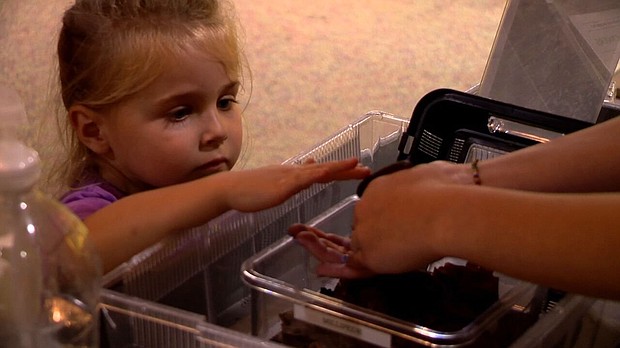 Young naturalists teach visitors about Western North Carolina Nature Center exhibits.
Mandatory Credit:	WLOS