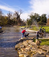 Johnny Steele Dog Park