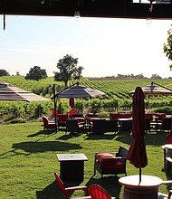 Bokisch Wines Vineyard