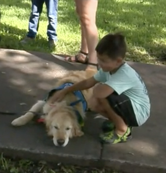 Comfort dogs for students on the first day of school in Uvalde on Tuesday