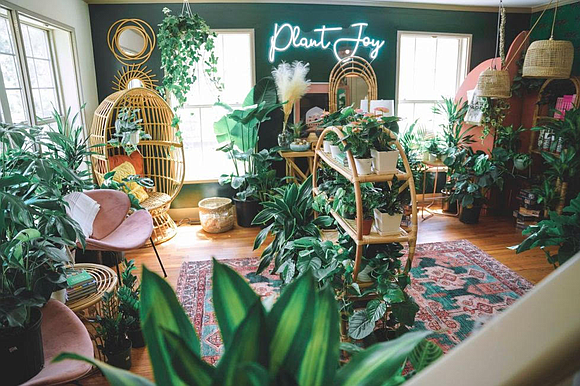 The Plant Project Houston is inviting the community to a Free Plant Bar Experience at the Montrose Collective, located at …