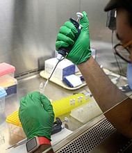 A research assistant prepares a PCR reaction for polio at a lab at Queens College on August 25, in New York.
Mandatory Credit:	Angela Weiss/AFP/Getty Images