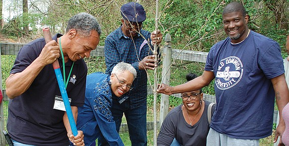 Nearly 50 trees are now growing in a portion of the parking lot of Branch’s Baptist Church, 3400 Broad rock ...