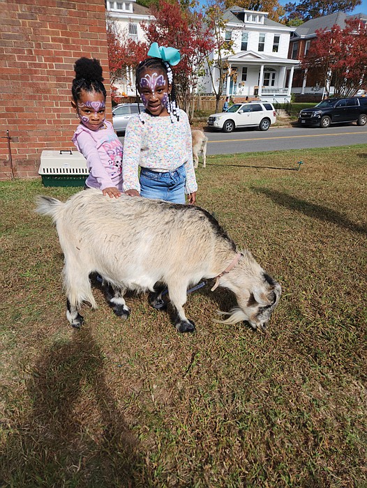 Genisis Brooks, 4, left, and Eboni Watford, 5, pet a goat that was grazing Sunday at New Generation Church, 19 Overbrook Road. The church rented a cow, a llama, three goats, two ponies and a piglet from the Teeny Tiny Farm in Suffolk to share with children and their parents after services.