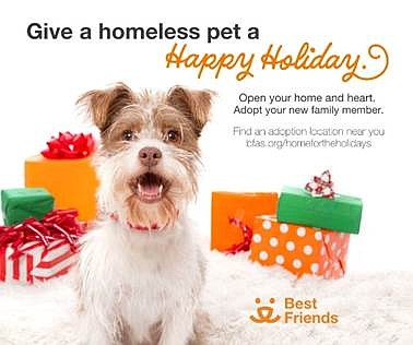 A loving home is on holiday wish lists for thousands of animals in the greater Houston area –even a short …