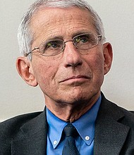 Dr. Fauci