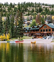 The Pines by Pursuit