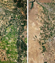 Comparison view of the Sacramento Valley rice-growing region that has lost nearly 75 percent of production due to extreme drought conditions east of Willows, California. The image on the left shows green with normal production in September 4, 2021. The right image is mostly brown from drought and water shortages on September 16, 2022.
Mandatory Credit:	Landsat 8/Nasa/Planet Pix/ZUMA Press Wire