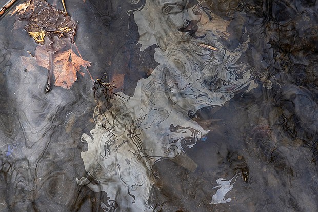 Petroleum based chemicals float on the top of the water in Leslie Run creek after being agitated from the sediment on the bottom of the creek on February 20, in East Palestine, Ohio.
Mandatory Credit:	Michael Swensen/Getty Images