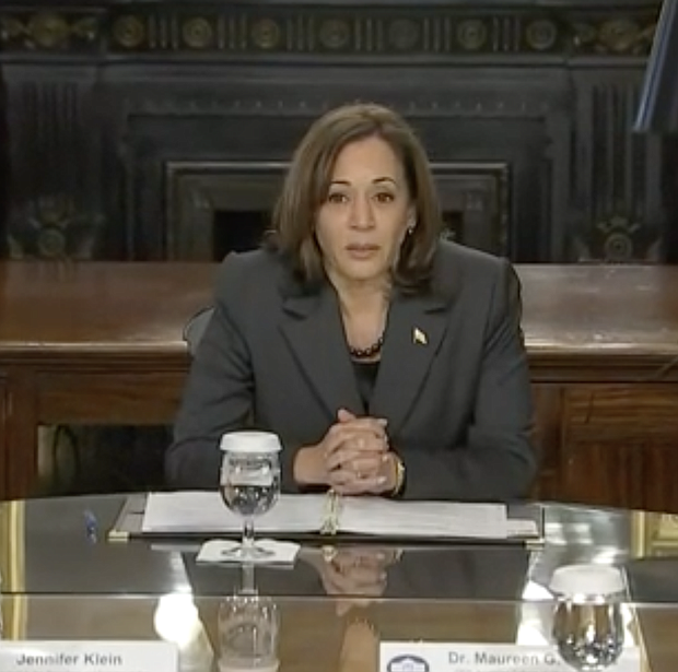Vice President Kamala Harris
