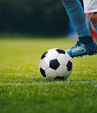 Elite basketball, hockey, soccer and football players, were among the 76 athletes included in the new study.
Mandatory Credit:	matimix/Adobe Stock