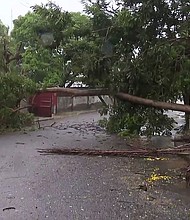 A tree lies across a street in Quelimane, Mozambique Sunday, March 12, 2023.
Mandatory Credit:	AP