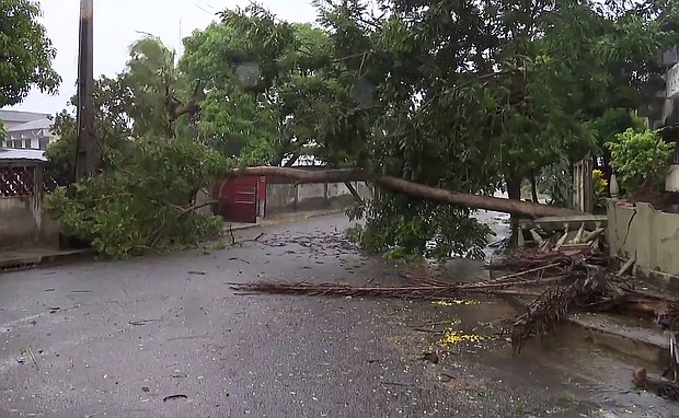 A tree lies across a street in Quelimane, Mozambique Sunday, March 12, 2023.
Mandatory Credit:	AP