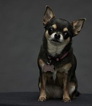 WIll Trent leading lady, Betty